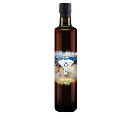 Močové cesty
